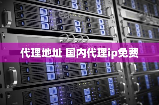 代理地址 国内代理ip免费