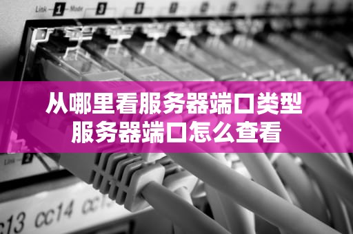 从哪里看服务器端口类型 服务器端口怎么查看