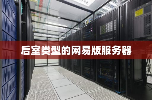 后室类型的网易版服务器