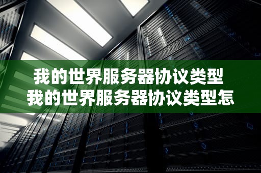 我的世界服务器协议类型 我的世界服务器协议类型怎么选