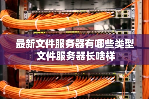 最新文件服务器有哪些类型 文件服务器长啥样