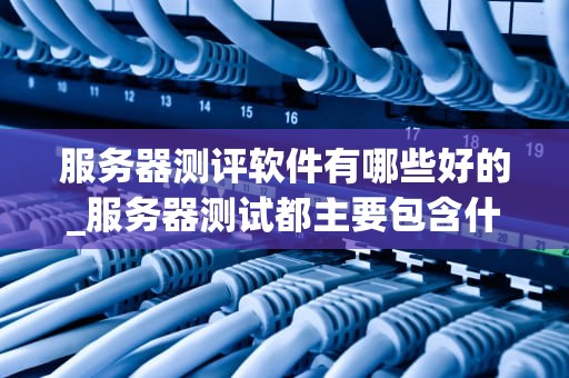 服务器测评软件有哪些好的_服务器测试都主要包含什么_服务器性能测评软件的全面比较与分析