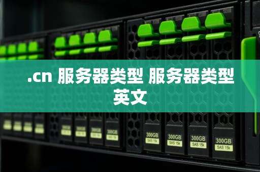 .cn 服务器类型 服务器类型英文