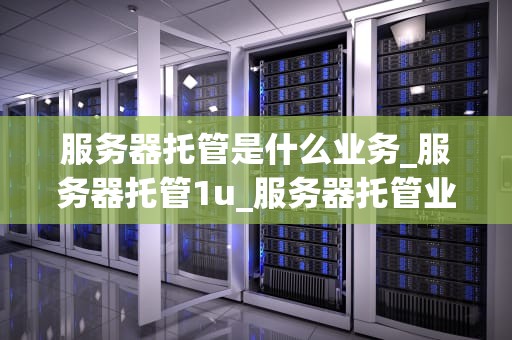 服务器托管是什么业务_服务器托管1u_服务器托管业务全面解析