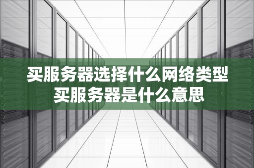 买服务器选择什么网络类型 买服务器是什么意思