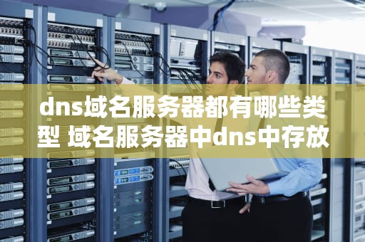 dns域名服务器都有哪些类型 域名服务器中dns中存放什么