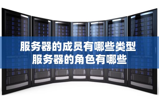服务器的成员有哪些类型 服务器的角色有哪些