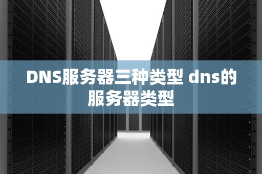 DNS服务器三种类型 dns的服务器类型