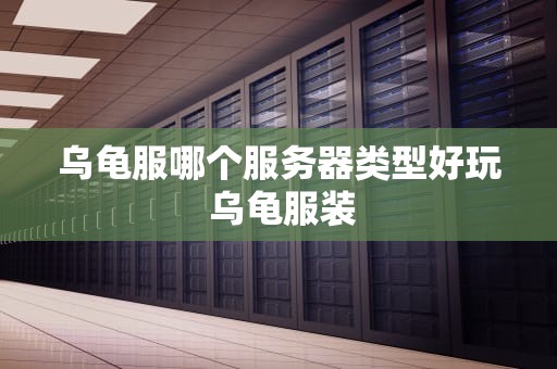 乌龟服哪个服务器类型好玩 乌龟服装