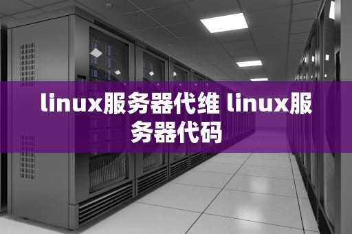 linux服务器代维 linux服务器代码