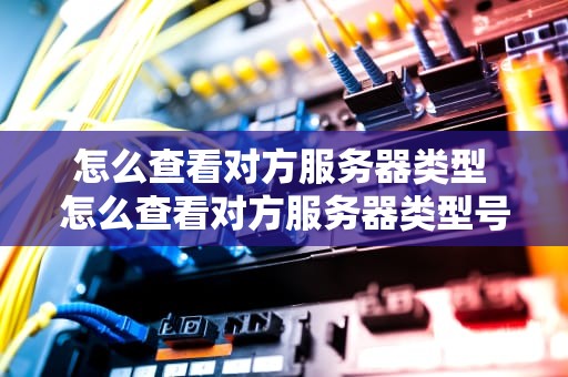 怎么查看对方服务器类型 怎么查看对方服务器类型号