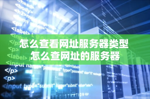怎么查看网址服务器类型 怎么查网址的服务器