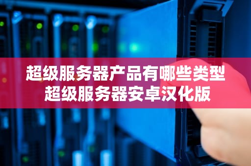 超级服务器产品有哪些类型 超级服务器安卓汉化版