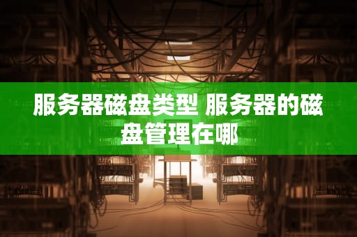 服务器磁盘类型 服务器的磁盘管理在哪