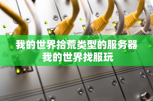 我的世界拾荒类型的服务器 我的世界找服玩