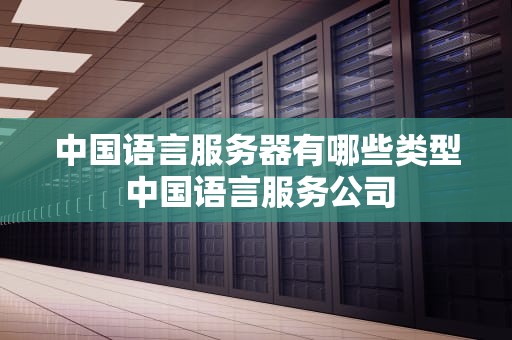 中国语言服务器有哪些类型 中国语言服务公司