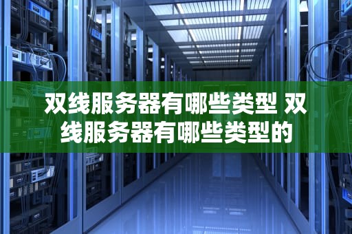 双线服务器有哪些类型 双线服务器有哪些类型的