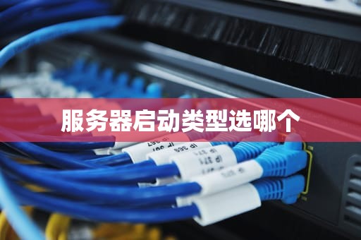 服务器启动类型选哪个