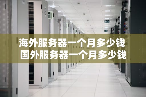 海外服务器一个月多少钱 国外服务器一个月多少钱