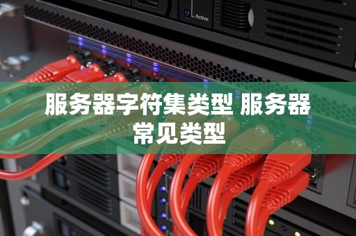 服务器字符集类型 服务器常见类型