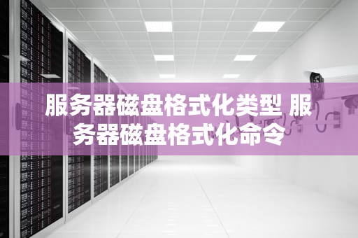 服务器磁盘格式化类型 服务器磁盘格式化命令