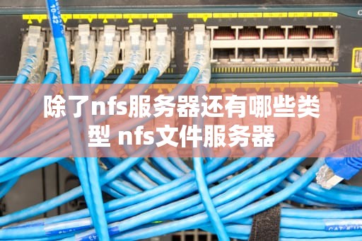 除了nfs服务器还有哪些类型 nfs文件服务器