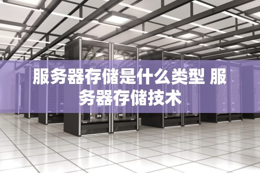 服务器存储是什么类型 服务器存储技术