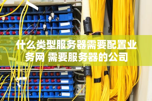 什么类型服务器需要配置业务网 需要服务器的公司