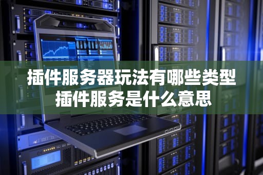 插件服务器玩法有哪些类型 插件服务是什么意思