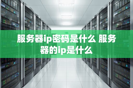 服务器ip密码是什么 服务器的ip是什么