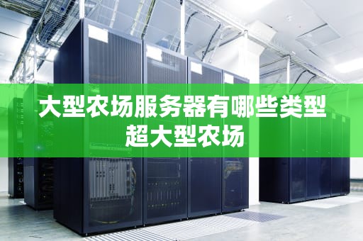 大型农场服务器有哪些类型 超大型农场
