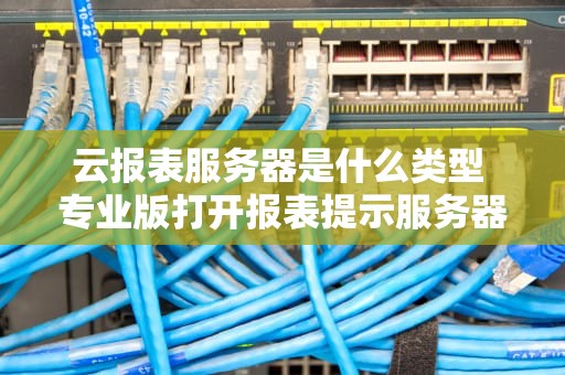 云报表服务器是什么类型 专业版打开报表提示服务器运行失败