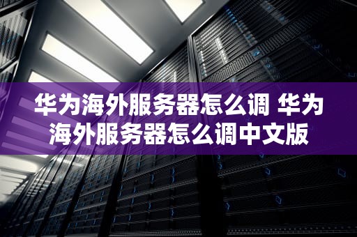 华为海外服务器怎么调 华为海外服务器怎么调中文版