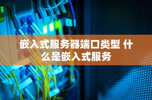 嵌入式服务器端口类型 什么是嵌入式服务