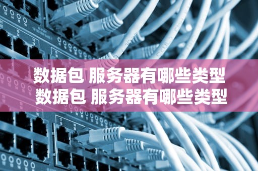 数据包 服务器有哪些类型 数据包 服务器有哪些类型的