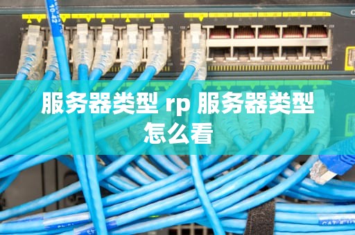 服务器类型 rp 服务器类型怎么看