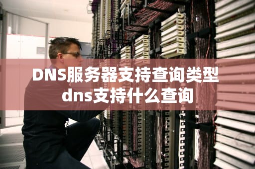 DNS服务器支持查询类型 dns支持什么查询
