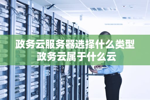 政务云服务器选择什么类型 政务云属于什么云