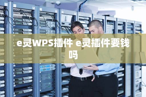e灵WPS插件 e灵插件要钱吗