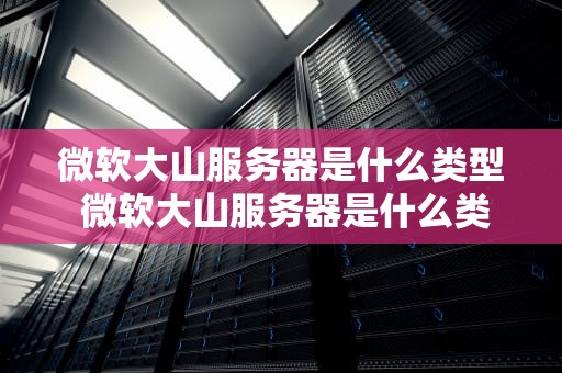 微软大山服务器是什么类型 微软大山服务器是什么类型的