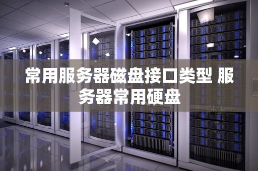 常用服务器磁盘接口类型 服务器常用硬盘