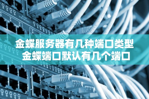 金蝶服务器有几种端口类型 金蝶端口默认有几个端口