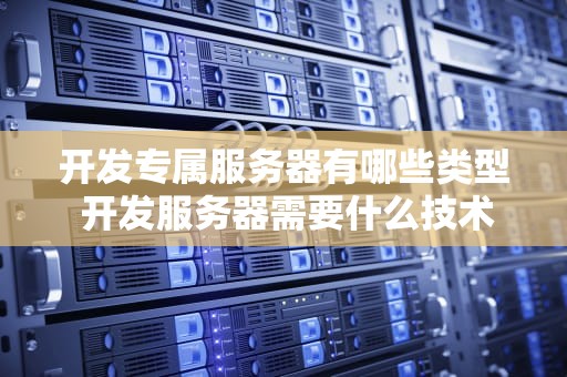 开发专属服务器有哪些类型 开发服务器需要什么技术