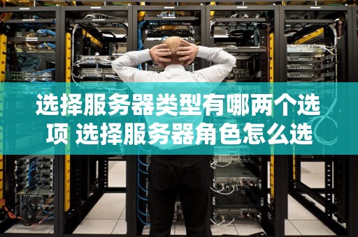 选择服务器类型有哪两个选项 选择服务器角色怎么选择
