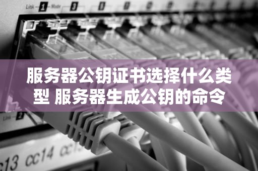 服务器公钥证书选择什么类型 服务器生成公钥的命令