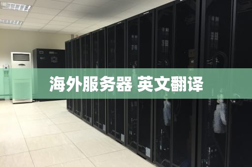 海外服务器 英文翻译
