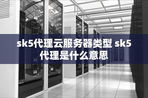 sk5代理云服务器类型 sk5代理是什么意思