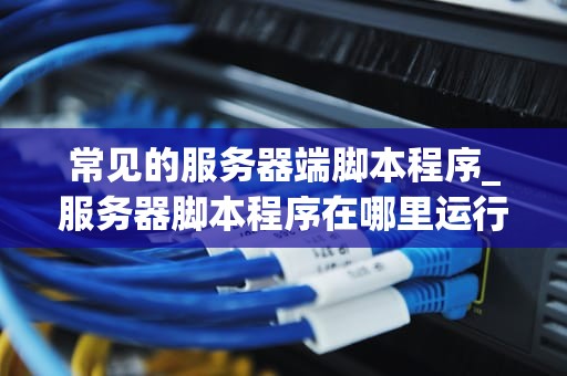 常见的服务器端脚本程序_服务器脚本程序在哪里运行_服务器端脚本程序：关键角色与应用场景