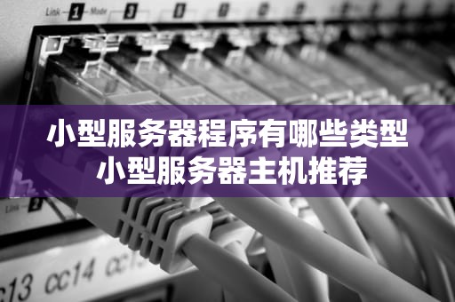 小型服务器程序有哪些类型 小型服务器主机推荐