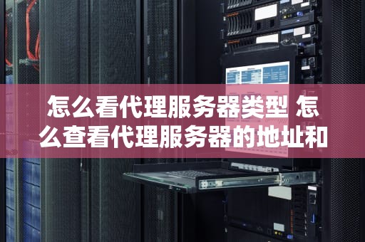 怎么看代理服务器类型 怎么查看代理服务器的地址和接口
